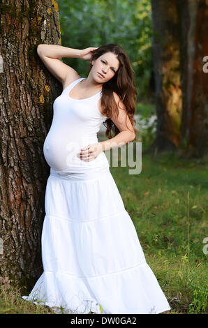 La donna incinta in estate un albero Foto Stock