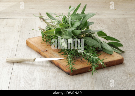 La salvia e il rosmarino su un asse di legno per la cottura Foto Stock