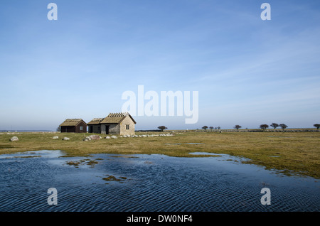 Fishermens cabine storiche dell'isola Oland in Svezia Foto Stock