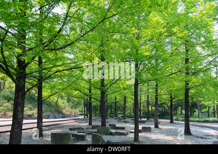 Nel verde Foto Stock