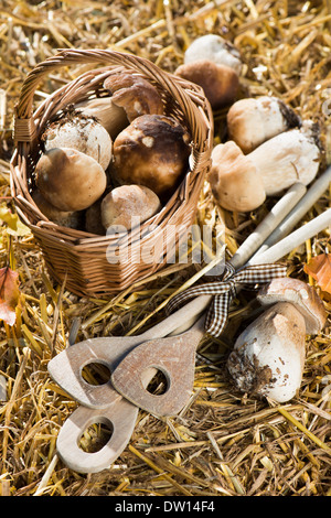 Raccolti di fresco funghi sulla paglia Foto Stock