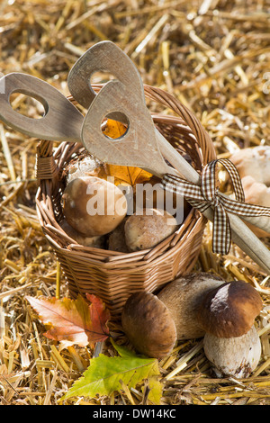 Raccolti di fresco funghi sulla paglia Foto Stock