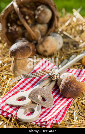 Raccolti di fresco funghi sulla paglia Foto Stock