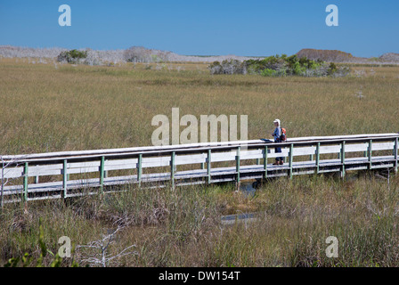 Parco nazionale delle Everglades, Florida - Una passeggiata attraverso il "fiume d'erba". Foto Stock