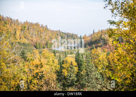 Colori di autunno Foto Stock