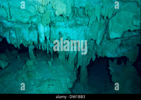 Le formazioni rocciose nella subacquea Gran Cenote, la penisola dello Yucatan, Messico Foto Stock