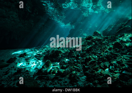 Le formazioni rocciose nella subacquea Gran Cenote, la penisola dello Yucatan, Messico Foto Stock