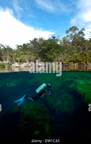 Scuba Diver nuoto attraverso il sottomarino Eden Cenote grotta, la penisola dello Yucatan, Messico Foto Stock