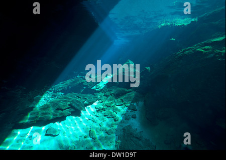 Scuba Diver nuoto attraverso il sottomarino Kulukan Cenote grotta, la penisola dello Yucatan, Messico Foto Stock