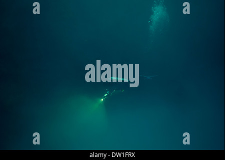 Scuba Diver nuoto attraverso il sottomarino cenote Pit grotta, la penisola dello Yucatan, Messico Foto Stock