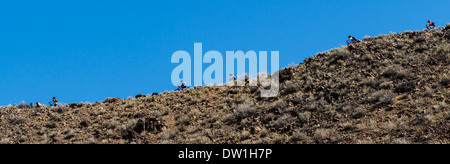 Giovani appassionati di mountain bike escursione lungo una cresta nell'Arkansas River Valley colline sopra Salida, Colorado, STATI UNITI D'AMERICA Foto Stock