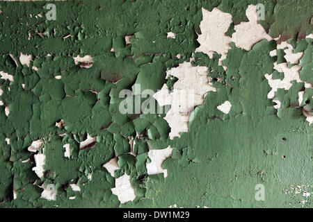 Milovice, Repubblica Ceca. Il 25 febbraio 2014. Un muro abbandonato colorati in verde nell'area del militare sovietica in base Milovice, situato a circa 40 km da Praga, Repubblica Ceca. Rovine della ex Unione Sovietica base militare in Milovice sono per essere demolita nei prossimi mesi per fare spazio a nuovi edifici. La base è stata abbandonata per più di venti anni, dal momento che le truppe sovietiche a sinistra della Cecoslovacchia nel 1991. Ora il abbandonata base militare sopravvive per ultimi giorni. Foto Stock