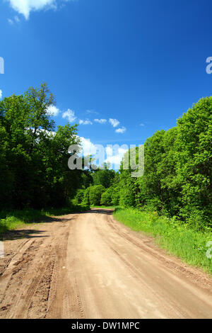 Strada rurale in foresta Foto Stock