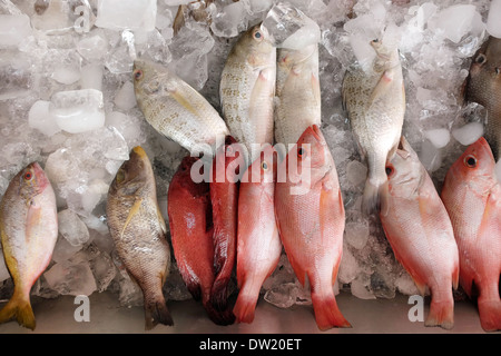 Fresco pesce crudo visualizzato sul ghiaccio al supermercato Foto Stock