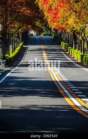 Prefettura di Aichi, Giappone Foto Stock