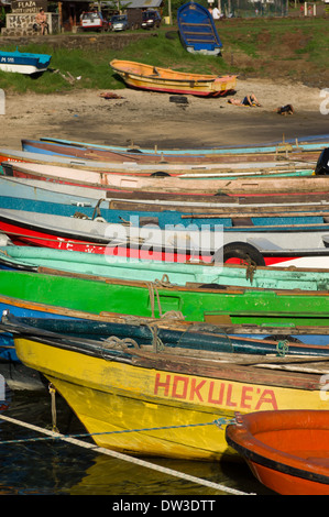 Coloratissime barche di pescatori del porto, Hanga Roa, Rapa Nui (l'Isola di Pasqua), Cile Foto Stock