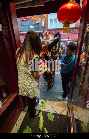 Ballerino Lion dal London Chinatown Associazione Cinese essendo dato offerte nella porta del Feng Shui Inn a Capodanno Cinese, Gerrard Street a Londra, Inghilterra Foto Stock