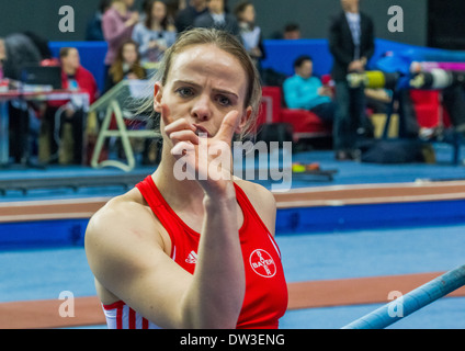 Silke Spiegelburg è un polo tedesco vaulter. In Pole Vault stelle incontro a Donetsk, Ucraina, 2014. Foto Stock