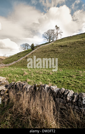 Sul pendio della collina e in pietra a secco in parete Dovedale, Parco Nazionale di Peak District, REGNO UNITO Foto Stock