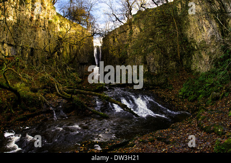 Forza Catrigg cascata sul Stainforth Beck nel Yorkshire Dales National Park. Novembre. Foto Stock