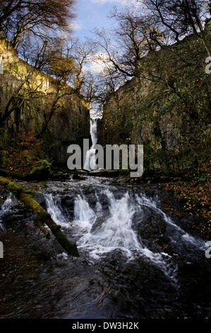 Forza Catrigg cascata sul Stainforth Beck nel Yorkshire Dales National Park. Novembre. Foto Stock