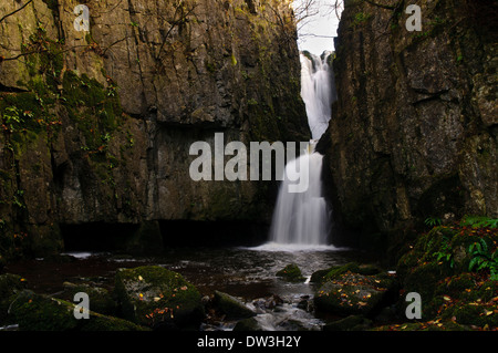 Forza Catrigg cascata sul Stainforth Beck nel Yorkshire Dales National Park. Novembre. Foto Stock