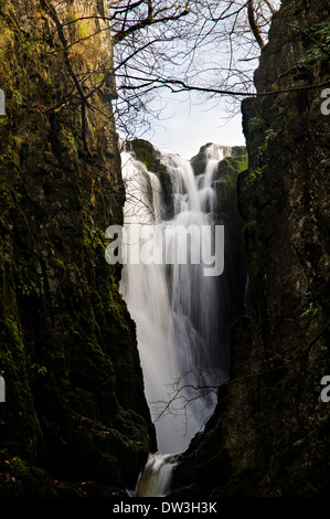 Forza Catrigg cascata sul Stainforth Beck nel Yorkshire Dales National Park. Novembre. Foto Stock