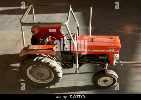 Massey Ferguson classico trattore parcheggiato all'interno di un hangar nella luce del sole Foto Stock