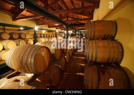 Botti di vino in una cantina nelle Langhe in provincia di Cuneo, Piemonte, Italia Foto Stock