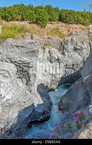 Il fiume Alcantara Gorge, nei pressi del monte Etna si trova nella valle dell'Alcantara, Sicilia, Italia. Foto Stock