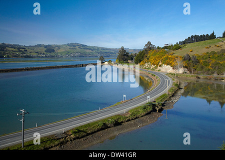 La Statale 88 a Blanket Bay, porto di Otago e la penisola di Otago, Dunedin, Otago, Isola del Sud, Nuova Zelanda Foto Stock