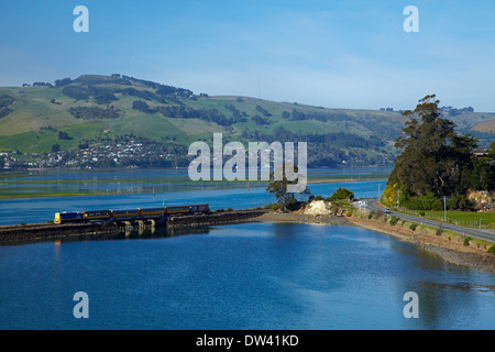 Taieri Gorge 'Seasider' treno, Blanket Bay, porto di Otago e la penisola di Otago, Dunedin, Otago, Isola del Sud, Nuova Zelanda Foto Stock