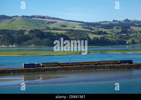 Taieri Gorge 'Seasider' treno, Blanket Bay, porto di Otago e la penisola di Otago, Dunedin, Otago, Isola del Sud, Nuova Zelanda Foto Stock