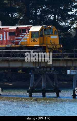 Treno merci Attraversamento fiume Waikouaiti, Karitane, Dunedin, Otago, Isola del Sud, Nuova Zelanda Foto Stock