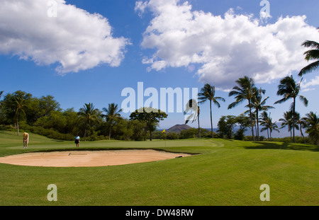 Matura sul verde a esclusivo Wailea Gold foro corso #18 con palme e bellezza in Maui Hawaii Foto Stock