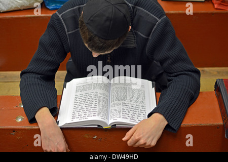 Lubavitch studente assidico che studia il libro di Esodo presso la sede di Chabad e la sinagoga al 770 Eastern Parkway a Brooklyn, New York. Foto Stock