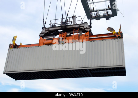 Sea container sollevato da una gru del porto Foto Stock