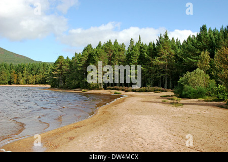 Loch Morlich vicino a Aviemore nelle Highlands occidentali della Scozia.UK Foto Stock