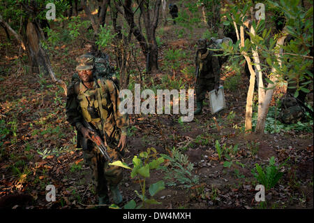 Soldati ugandesi dell'Uganda la difesa del popolo forza (UPDF) patrol tramite la centrale di giungla africana durante un'operazione per cacciare famigerato Esercito di Resistenza del Signore (LRA) leader Joseph Kony. L LRA è un cristiano militante del gruppo ribelle. Foto Stock