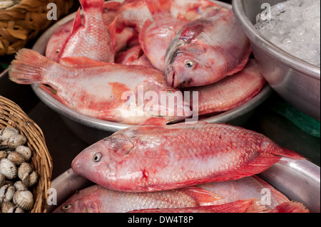 Materie piatti a base di frutti di mare freschi, pesce e vongole in vendita presso asian food market Foto Stock