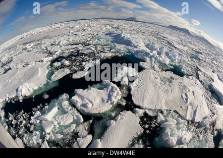 Fisheye colpo di punteruolo flottante ghiaccio formatosi nel pack di ghiaccio da un icebreaker Expedition nave, Freemansundet (tra Barentsøya e Edgeøya), arcipelago delle Svalbard, Norvegia Foto Stock