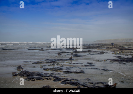 Salendo dalla spiaggia in un surreale paesaggio marino, centinaia di querce che sono morti più di 4.500 anni fa. borth beach west wales Foto Stock