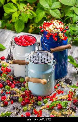 Appena raccolto frutti di bosco frutti in estate Foto Stock