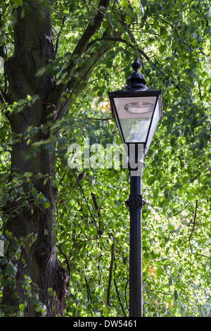 Lampada vittoriana post Foto Stock