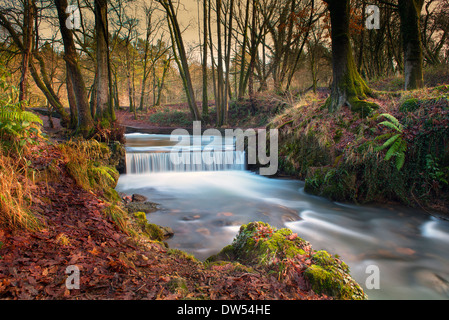 Un uomo fatto cascata in inverno, la Foresta di Dean, Gloucestershire, Inghilterra, Gran Bretagna, Regno Unito Foto Stock
