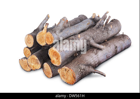Catasta di legna da ardere logs isolati su sfondo bianco Foto Stock