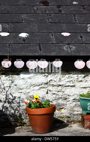 Decorazione di conchiglie di capesante su cottage e vaso di fiori nel villaggio di Polkerris, vicino a St Austell, Cornovaglia, Inghilterra Foto Stock