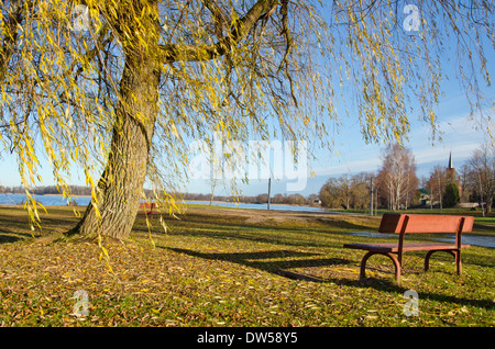 Serata autunnale paesaggio con panca e albero Foto Stock