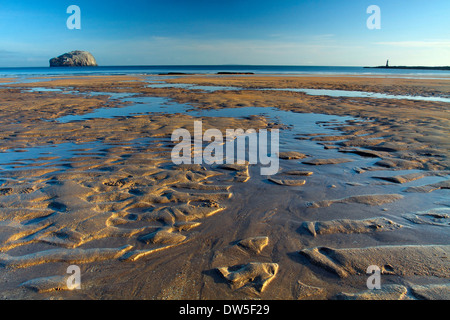 Bass Rock e St Baldred's Cross da Seacliff vicino a North Berwick in East Lothian Costa, Scozia Foto Stock