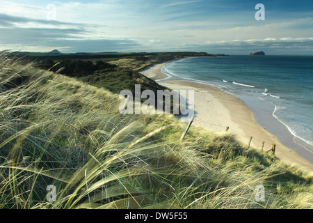 Bass Rock e North Berwick Legge da sabbie Ravensheigh sulla East Lothian Costa, Scozia Foto Stock